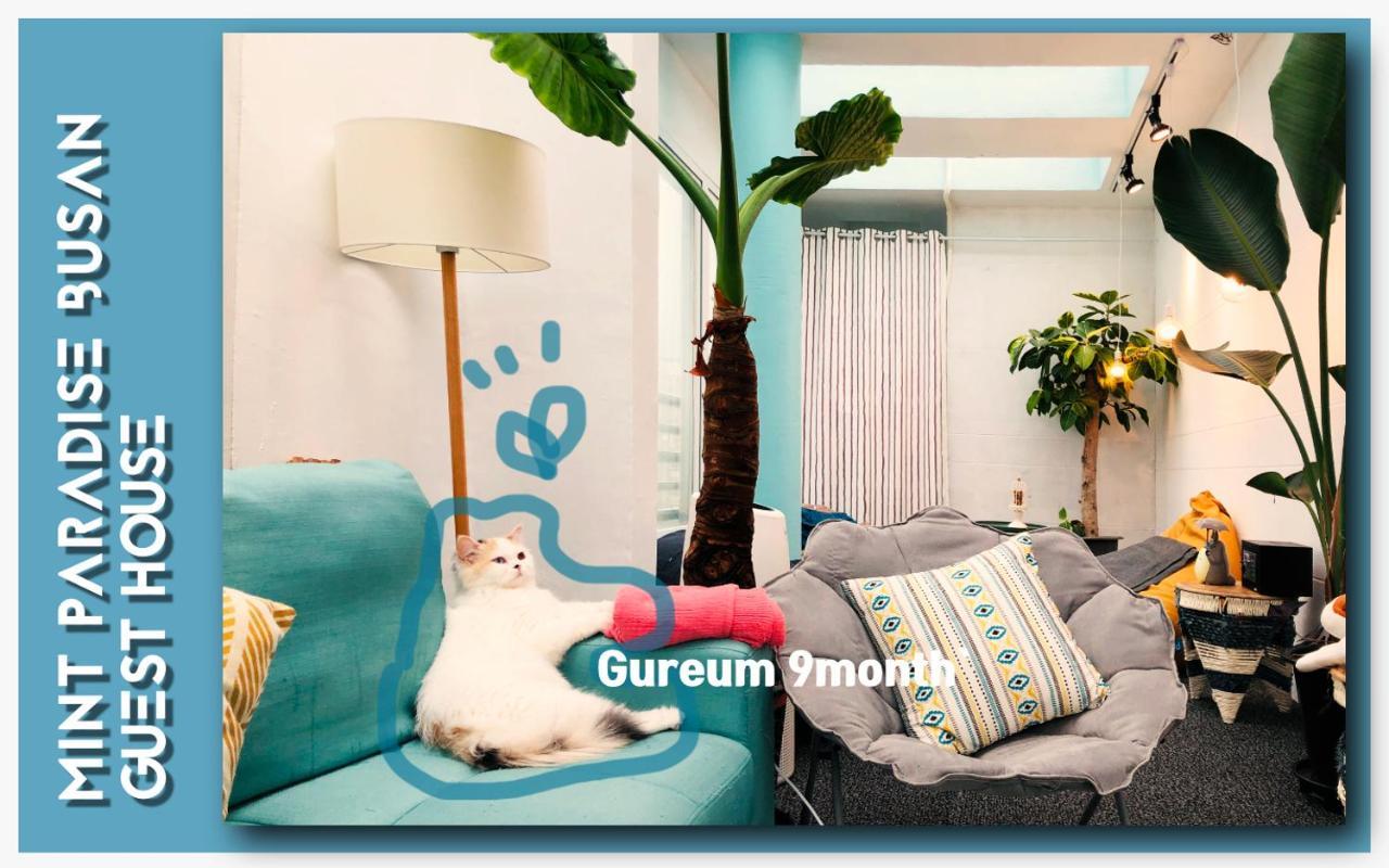 Mint Paradise Busan Luaran gambar